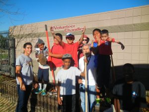 Garden Vol Chandler 02 25 15